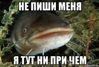 Оплата квартиры - som_145878987_orig_.jpg