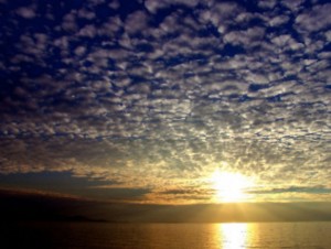 обман в столице - IMG_20181105_215301.jpg