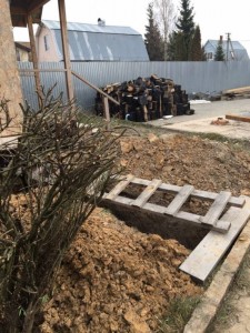 СРОЧНО нужна помощь кошкам-погорельцам из приюта - pEF7-0s4S7I.jpg