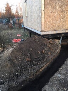 СРОЧНО нужна помощь кошкам-погорельцам из приюта - -qqulrSCiNw.jpg