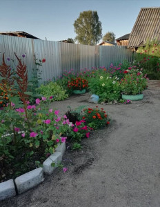 Моё Вам спасибо  - IMG_20181220_120408.jpg