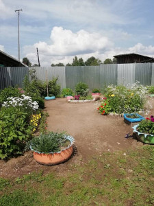 Моё Вам спасибо  - IMG_20180716_123502.jpg