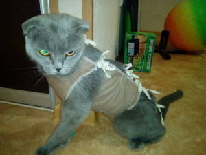 Вот такая беда может случиться,извлечение инородного тела из жкт