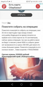 Помогите собрать на дорогу домой - Screenshot_20190212-190618.jpg