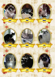 Помогите накормить животных. - VipTalisman25.jpg