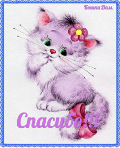 Помогите накормить животных. - j34Wo3a4tNs.jpg