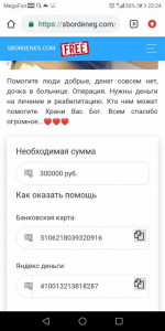 Помогите материально, безвозмездно. - Screenshot_20190214-232411.jpg
