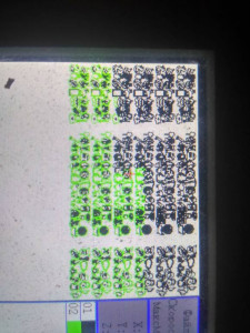 Тема строго для спонсоров  - IMG_2019-02-15_005305_HDR.jpg