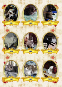 Помогите накормить животных. - VipTalisman26.jpg