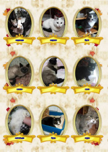 Помогите накормить животных. - VipTalisman27.jpg