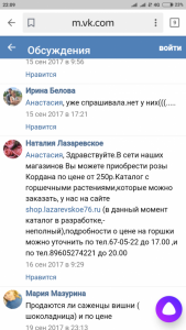 Нужна помощь на жизнь. Осталась на улице с 2-мя малышками  - Screenshot_2019-02-21-22-09-35-366_ru.yandex.searchplugin.png