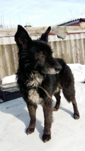 Помогите срочно нужна операция Барсу - 20190224_122341.jpg