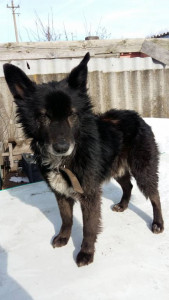 Помогите срочно нужна операция Барсу - 20190224_122351.jpg