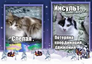 Помогите накормить животных. - VipTalisman28.jpg