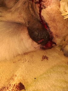 Тема должен жить  - 20190323_000558.jpg