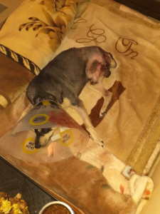 Тема должен жить  - 20190323_143651.jpg