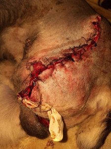 Тема должен жить  - 20190323_000618.jpg