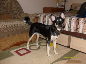 Вот такой он был!