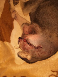 Тема должен жить  - 20190323_142940.jpg