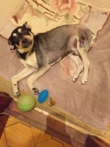 Тема должен жить  - 20190320_173328.jpg