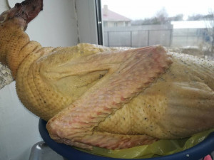 Сегодня буду запекать к макарошкам