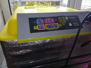 Негде жить - IMG_20190330_084426.jpg