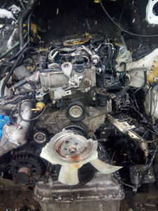 Очень прошу помоч не быть ровнодушным. - IMG-7b726be3044983dbe3eebea8d7d76967-V.jpg