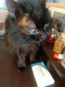 Нужна операция - image.jpg