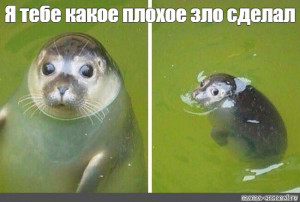 Прошу помощи - fe574f5f92008e28bc6b376b7c7c21a7.jpg