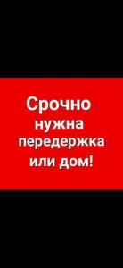 Помощь пострадавшим животным  - 2bS9HpKVHvQ.jpg