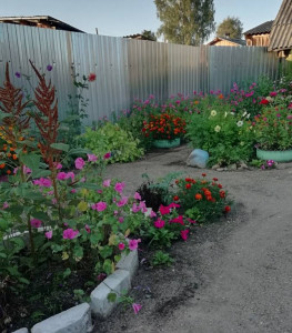 Любителям сада - IMG_20190413_211538.jpg