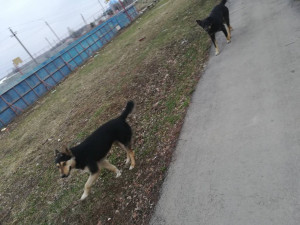 Кто прав? - IMG_20190411_180558.jpg