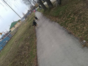 Кто прав? - IMG_20190411_180555.jpg