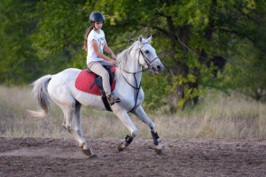 Развитие конного клуба. Ищем спонсоров. - 6zb7jz-Rnrg.jpg