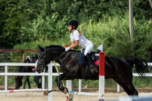 Развитие конного клуба. Ищем спонсоров. - EgOf8hgfoIk.jpg