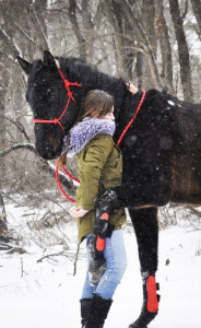Развитие конного клуба. Ищем спонсоров. - Диллер.jpg
