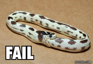 Он тоже хочет слышать  - Snake_fail.jpg