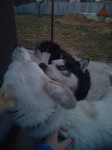 Всех с вербным  - IMG_20190421_191554.jpg