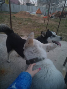 Всех с вербным  - IMG_20190421_191559.jpg