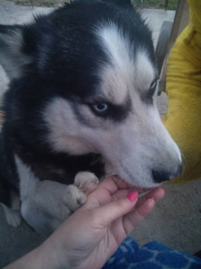 Всех с вербным  - IMG_20190421_195001.jpg