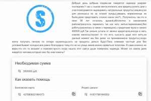 Не хватает на подарок сыну - 1Iyak3.jpg