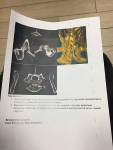 Помощь сбитой на трассе собаке - 791D3D36-CCFB-4421-937B-DEA0C0A43290.jpeg