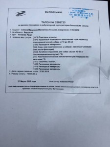 Помощь сбитой на трассе собаке - B96B4CCD-A1CF-4CEB-9E11-9BE5D6B8E45C.jpeg