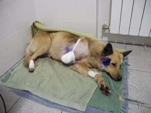 ПОМОГИТЕ СОБРАТЬ НА ОПЛАТУ ОПЕРАЦИИ  - 1231.jpg