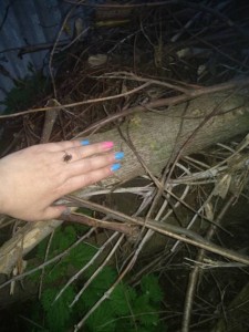 Как то так - IMG_20190513_205347.jpg