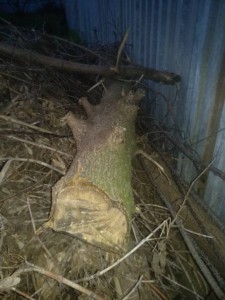 Как то так - IMG_20190513_205453.jpg