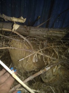 Как то так - IMG_20190513_205418.jpg