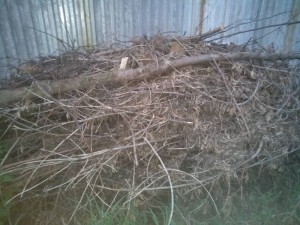 Как то так - IMG_20190513_205322.jpg