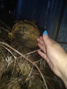 Как то так - IMG_20190513_205447.jpg