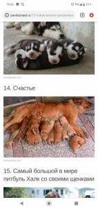 Необходимо содействие - Screenshot_20190527-192359.jpg